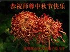 法轮功,云南大法弟子恭祝师尊中秋快乐(19条)
