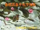 ֹ,ϴ󷨵ӹףʦ(19)
