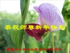 Published on 12/31/2016 ���ֹ�,��½�󷨵��ӹ�ףʦ�������(26��)