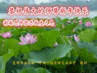 法轮功,云南大法弟子恭祝师尊新年好(21条)