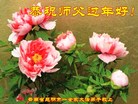 ֹ,ϴ󷨵ӹףʦ(21)