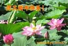 ֹ,󷨵ӹףʦ(24)