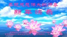 法轮功,郑州大法弟子恭祝师尊新年好(25条)