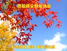 Published on 1/25/2017 ���ֹ�,��½�󷨵��ӹ�ףʦ�������(25��)