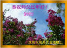 ֹ,󷨵ӹףʦ(20)
