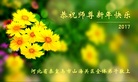 ֹ,ػʵ󷨵ӹףʦ(24)