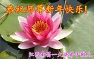 法轮功,江西大法弟子恭祝师尊新年好(20条)