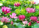 ֹ,󷨵ӹףʦ(17)