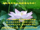 ֹ,󷨵ӹףʦ(21)