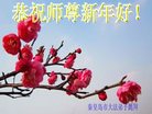 法轮功,秦皇岛大法弟子恭祝师尊新年好(21条)