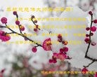 ֹ,ȷ󷨵ӹףʦ(28)
