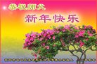 ֹ,ϴ󷨵ӹףʦ(23)
