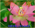 ֹ,ɹŴ󷨵ӹףʦ(20)