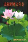 法轮功,云南大法弟子恭祝师尊新年好(21条)