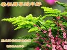 ֹ,󷨵ӹףʦ(17)