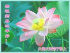 法轮功,大连大法弟子恭祝师尊新年好(23条)
