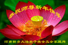 法轮功,河南大法弟子恭祝师尊新年好(21条)