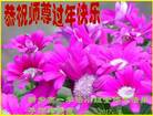 ֹ,ϴ󷨵ӹףʦ(21)