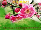 ֹ,󷨵ӹףʦ(20)