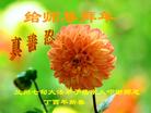 ֹ,󷨵ӹףʦ(20)