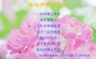 法轮功,廊坊大法弟子恭祝师尊新年好(28条)