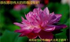 法轮功,湖南大法弟子恭祝师尊新年好(23条)