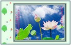 ֹ,人󷨵ӹףʦ(19)