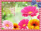 ֹ,人󷨵ӹףʦ(19)