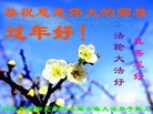Published on 1/26/2017 ���ֹ�,��½�󷨵��ӹ�ףʦ�������(25��)