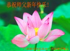 ֹ,㶫󷨵ӹףʦ(22)