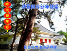 Published on 1/25/2017 ���ֹ�,��½�󷨵��ӹ�ףʦ�������(27��)