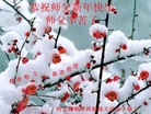 ֹ,ӱ󷨵ӹףʦ(21)