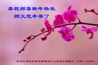 ֹ,ľ˹󷨵ӹףʦ(19)
