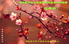 ֹ,ӱ󷨵ӹףʦ(19)