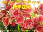 Published on 1/25/2017 ���ֹ�,��½�󷨵��ӹ�ףʦ�������(29��)