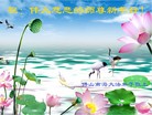 法轮功,广东大法弟子恭祝师尊新年好(22条)