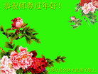 ֹ,ӱ󷨵ӹףʦ(21)