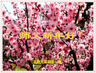 ֹ,󷨵ӹףʦ(26)