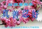 ֹ,㶫󷨵ӹףʦ(22)
