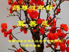 ֹ,󷨵ӹףʦ(21)