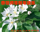 ֹ,żҿڴ󷨵ӹףʦ(23)