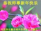 法轮功,保定大法弟子恭祝师尊新年好(20条)