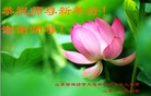 法轮功,潍坊大法弟子恭祝师尊新年好(27条)