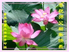 ֹ,󷨵ӹףʦ(24)