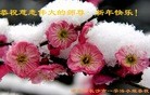 ֹ,ɳ󷨵ӹףʦ(20)