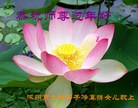 ֹ,󷨵ӹףʦ(22)