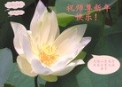 ֹ,ʴ󷨵ӹףʦ(32)