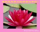 ֹ,ൺ󷨵ӹףʦ(21)