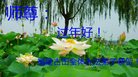 ֹ,󷨵ӹףʦ(21)