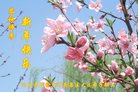 ֹ,ʯׯ󷨵ӹףʦ(27)